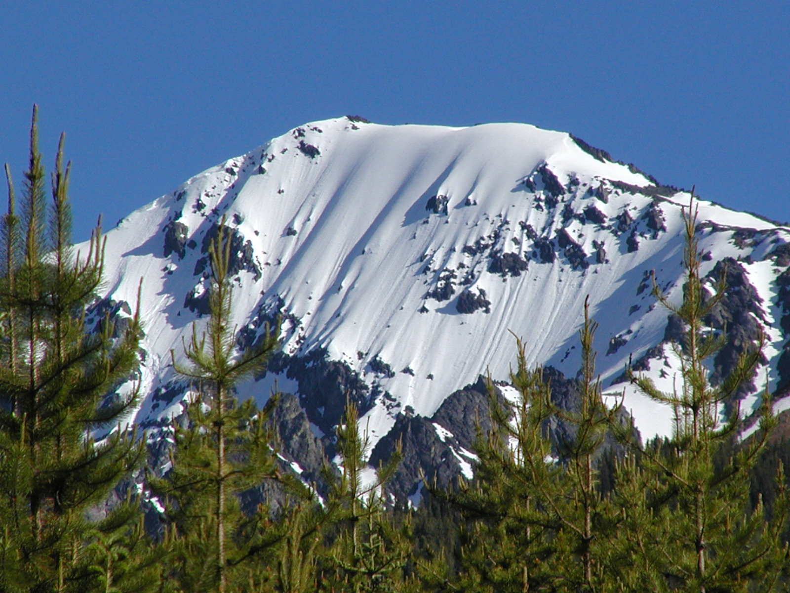 Mt. Truax